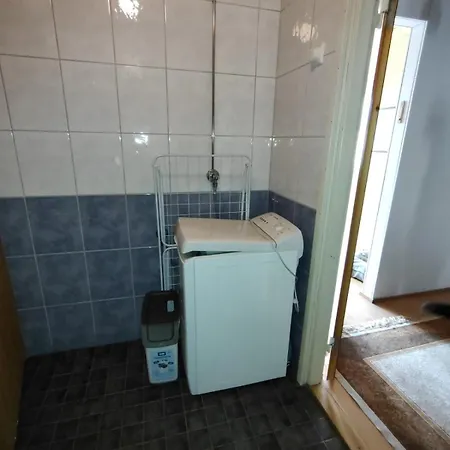 Punkaharju Savonlinna, Perheasunto, Family